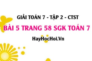 Giải bài 5 trang 58 Toán 7 tập 2 SGK Chân trời sáng tạo
